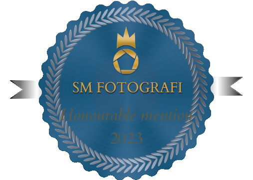 honourable mention i SM i porträttfoto