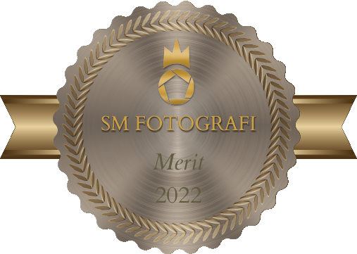 merit i SM i porträttfoto